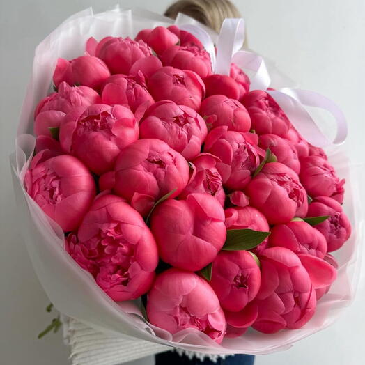 40 coral peonies