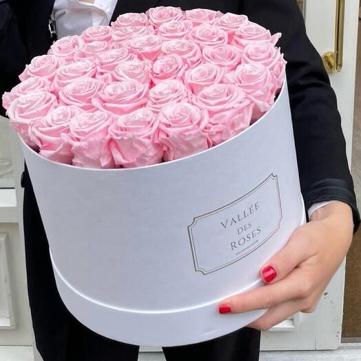 1 Year Lasting Pink Roses