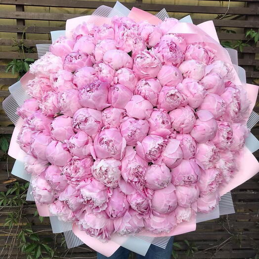 100 pink peonies
