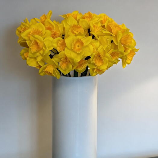 Sunshine Daffodil Glow