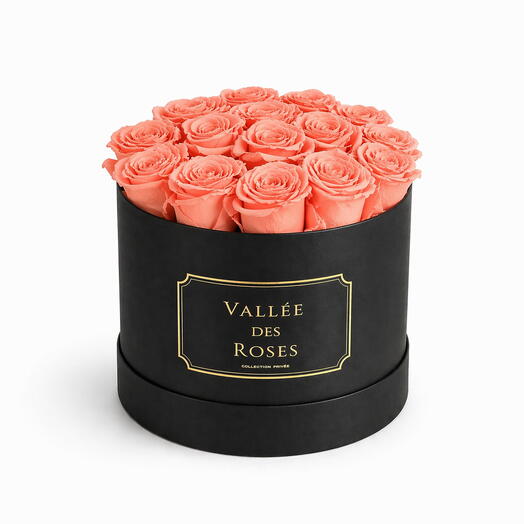 Peach Eternity Roses