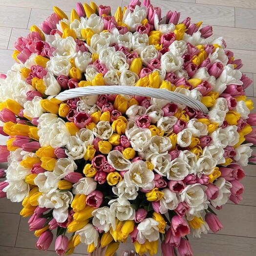 Корзина из 250 тюльпанов