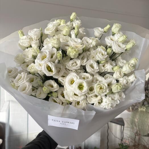 White eustoma