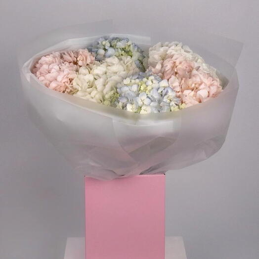 Tender Shades Hydrangea Bouquet