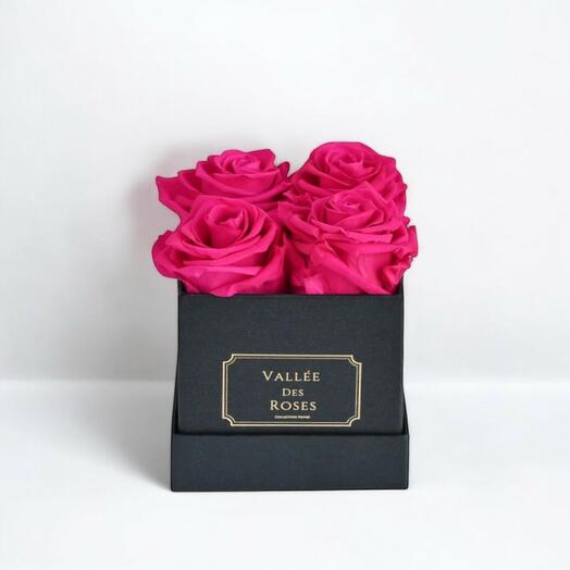 Hot Pink Preserved Roses in Black Box