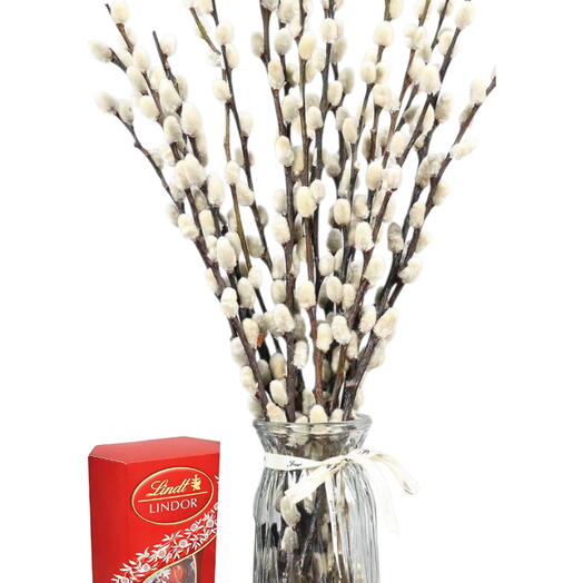 Стильная весенняя ива