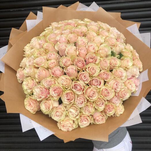101 Blush Pink Mondial Roses