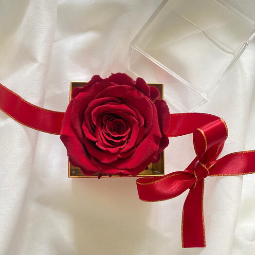 Red rose in a box