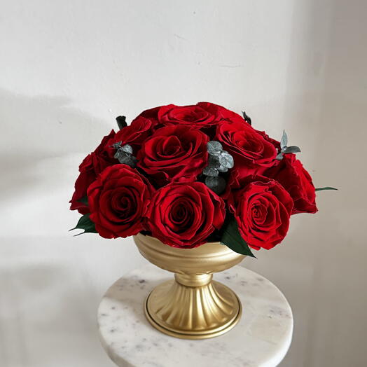 Forever Rose that last more than years )