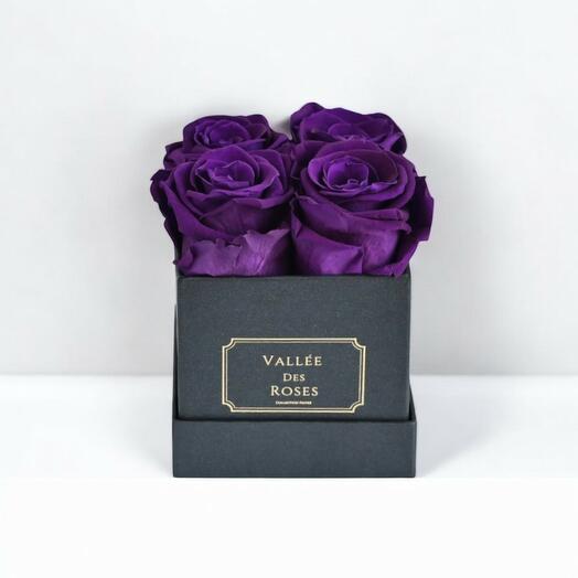 Purple Preserved Roses in Black Box