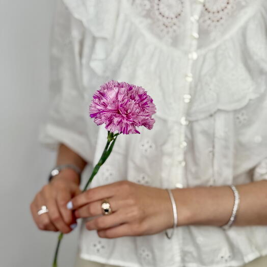 Pink Carnation Stem – A Gentle Classic for Every Occasion