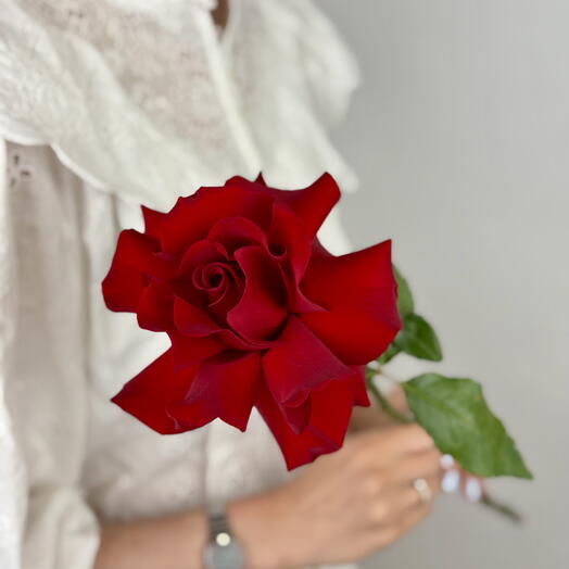 Red Rose Inside Out for a Unique Look