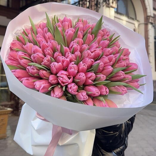 100 Pink Tulip 🎀