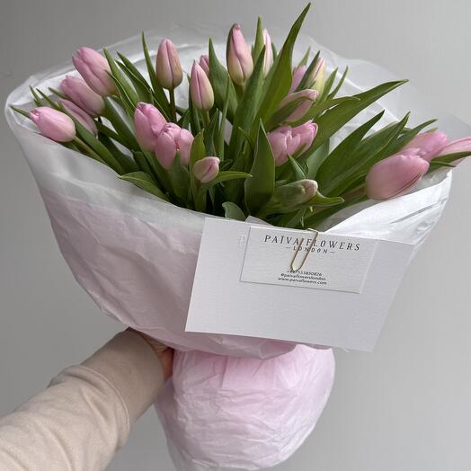 Soft pink tulips