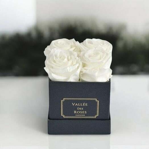 White Preserved Roses in Black Box