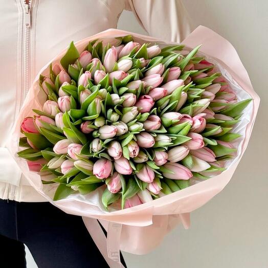 Knightsbridge 101 tulips