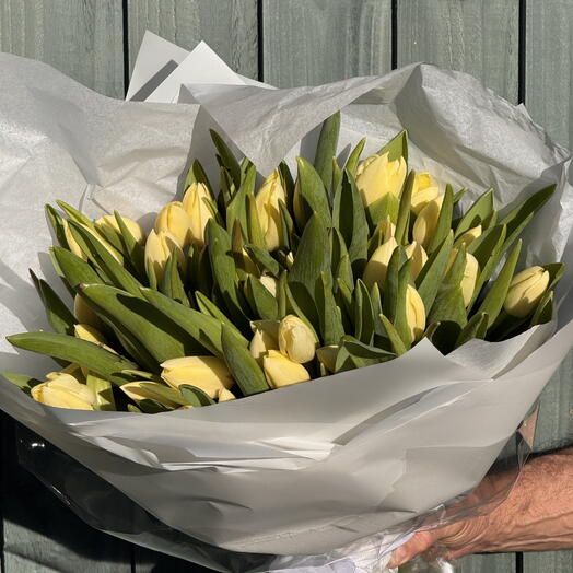 Light yellow tulips