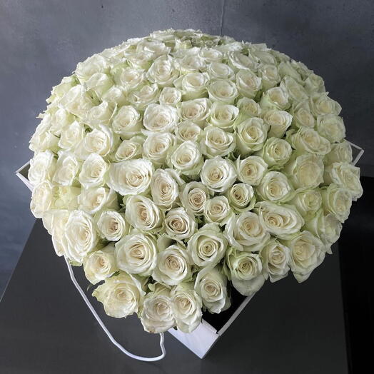 51 white roses
