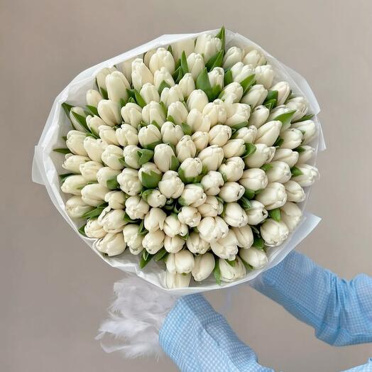 White tulips 75