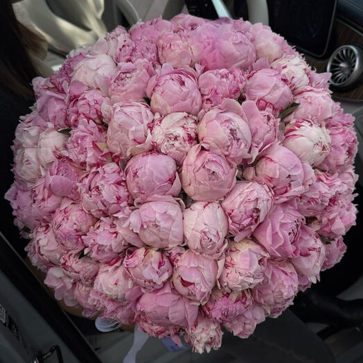 70 pink peonies