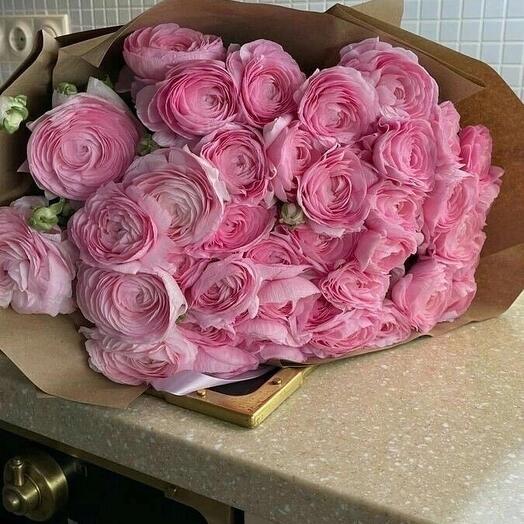 Ranunculus pink