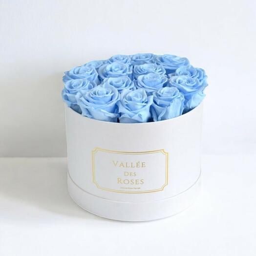 Baby Blue Preserved Roses