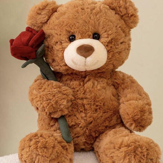 Cute Brown Teddy Bear