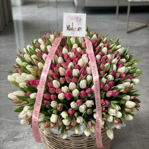 351 Tulips in a Basket