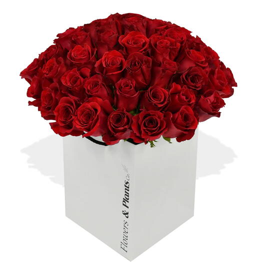 50 Red Roses