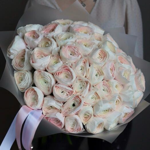 50 розовых ранункулюсов