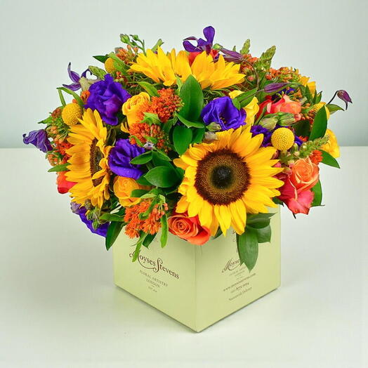 Тутти-фрутти