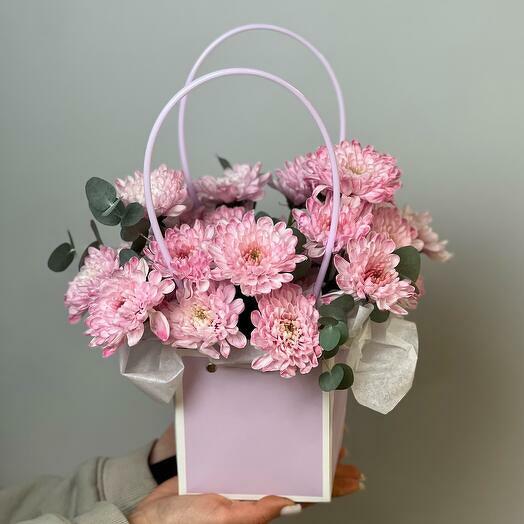 Нежная хризантема