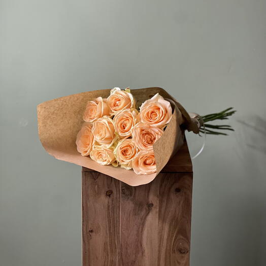 Light peach rose collection