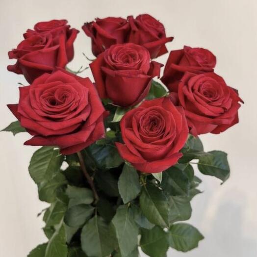 9 Red roses