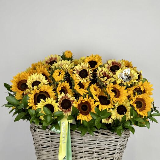 Golden Sunshine 40 Sunflowers Basket