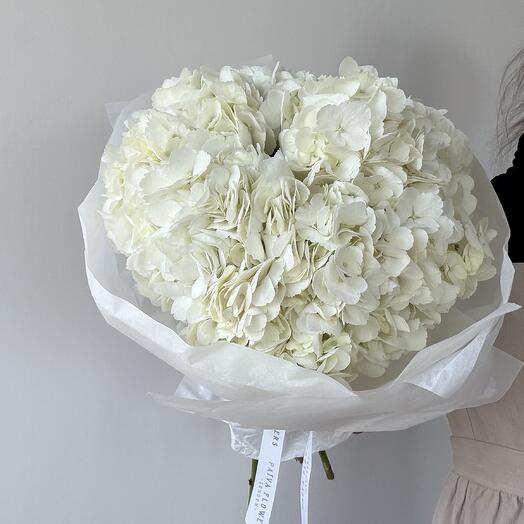 White hydrangeas