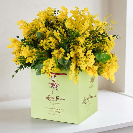 Mimosa Bouquet