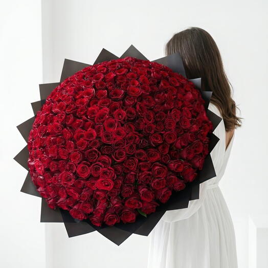 Red premium roses