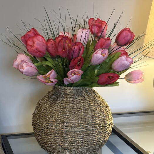 Spring to Summer Tulip Blush