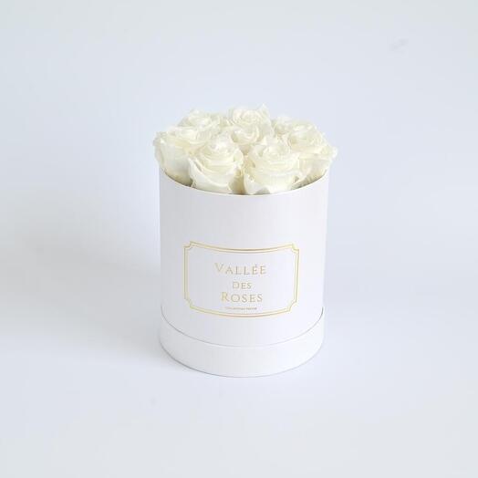 White Preserved Roses