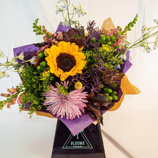 Сумеречная поляна