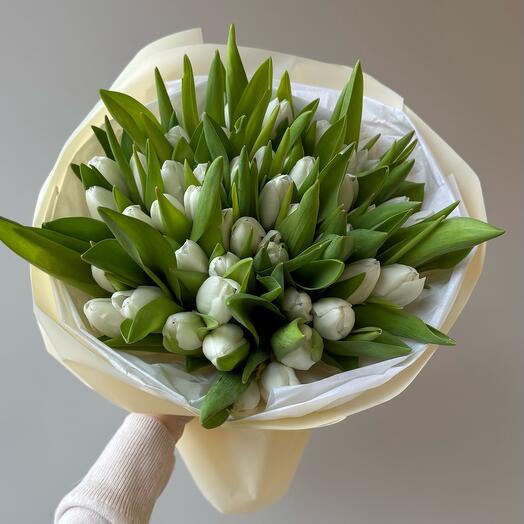 White tulips 19