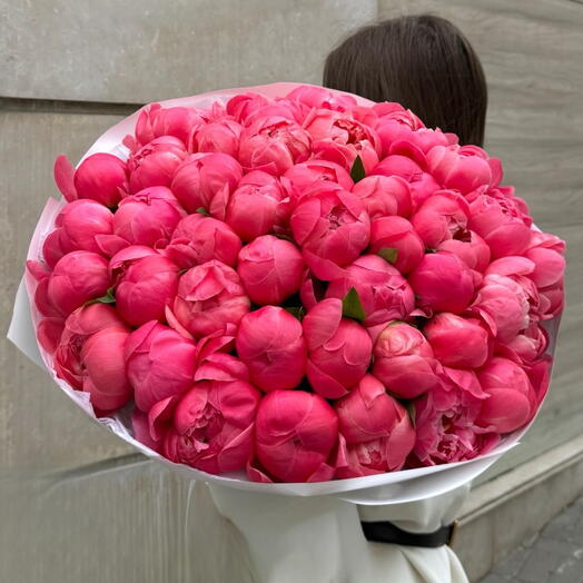 50 coral peonies