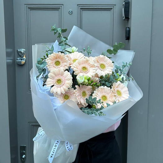 Blush Gerbera Symphony