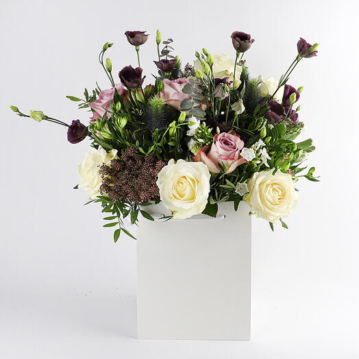 Белый полевой цветок