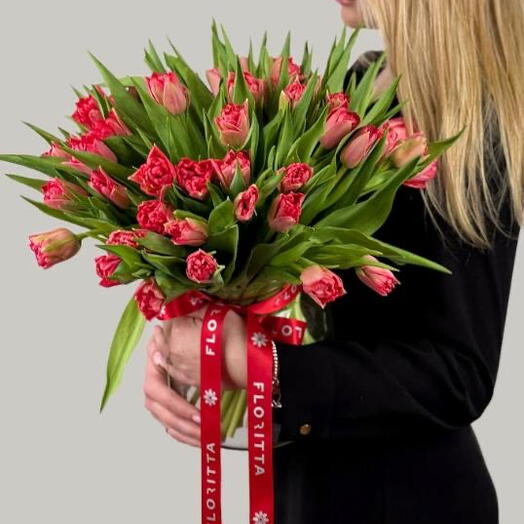 Heartstrings (tulips)