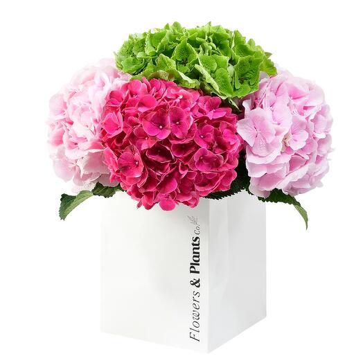 Смелый и яркий