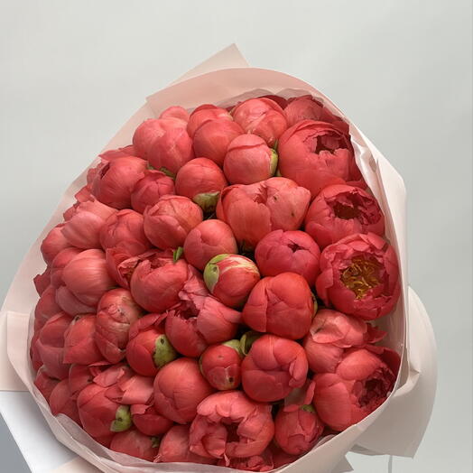 Perfect coral peonies