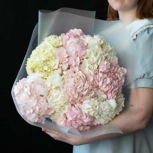 Изысканная гармония