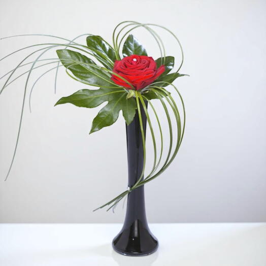 Red Rose in a Glass Vase
